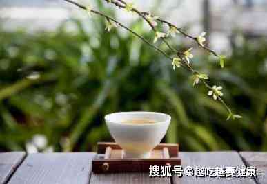 精选儒雅短语及短句：涵经典与实用，满足多种场合需求