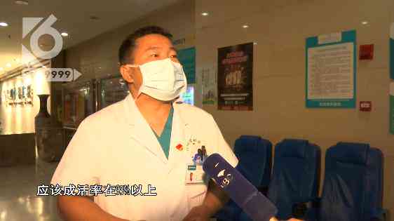 工伤等级判定：手指切断事故的工伤级别及赔偿标准解析