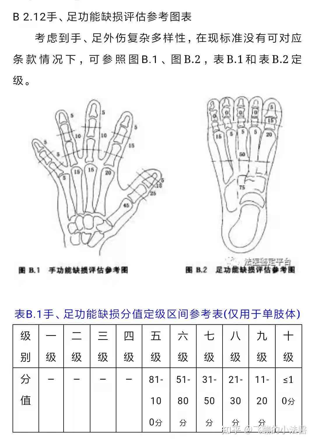 手指受伤工伤鉴定标准：十级标准最新解读及具体内容概述