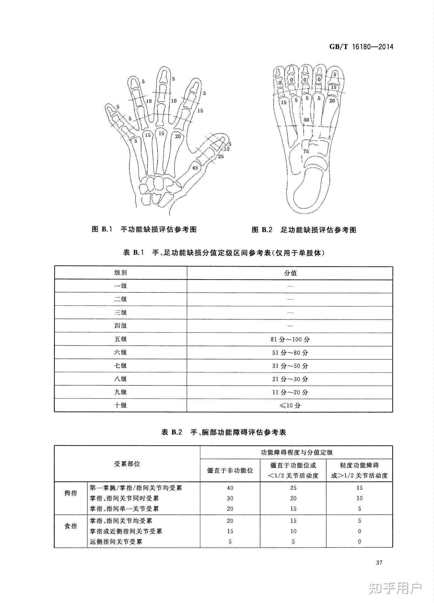 手指受伤工伤鉴定标准：十级标准最新解读及具体内容概述