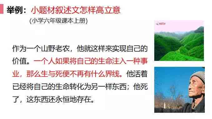 全面指南：利用网络平台写作文实现盈利的多种方法和技巧