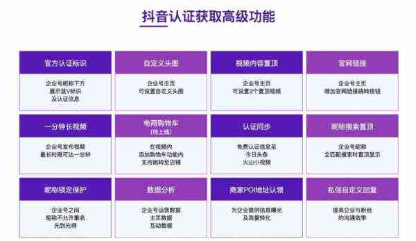 抖音AI艺术画师官方认证计划：创意艺术家专属资质审核