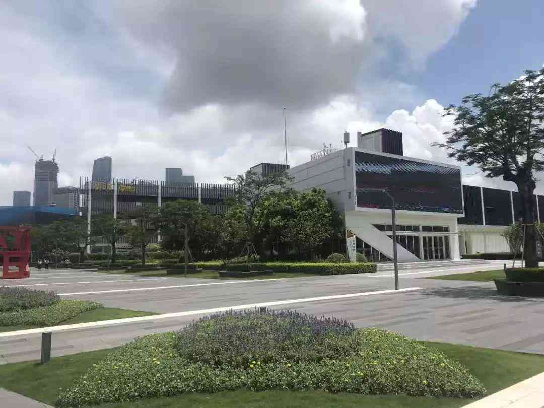 创新设计与应用实践综合报告：涵项目策划、实与成果分析