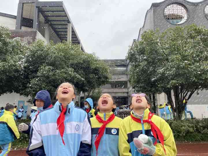 详解课设报告的含义、撰写技巧与常见问题解答