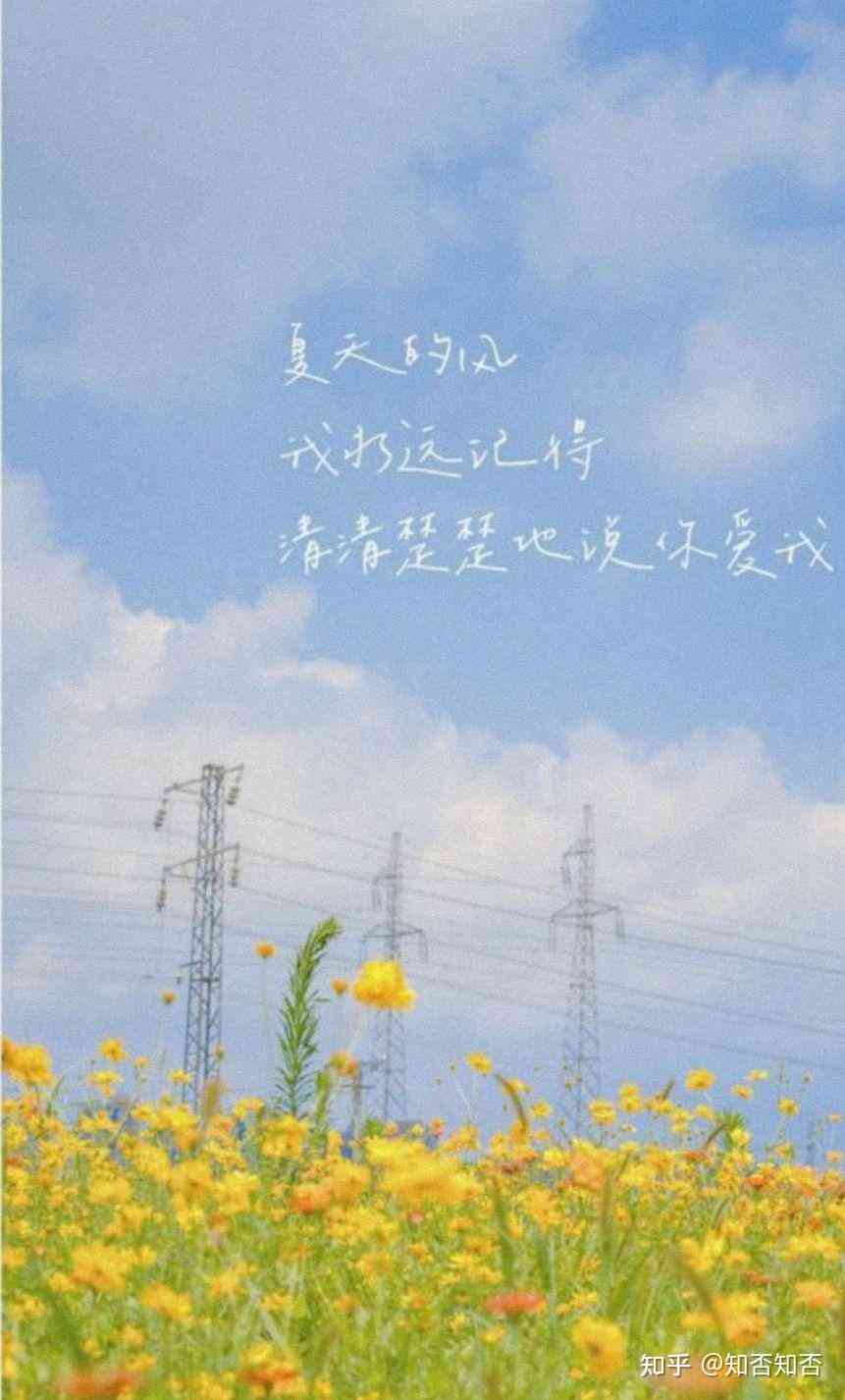 治愈文案的软件：盘点治愈系文案软件推荐与优劣对比