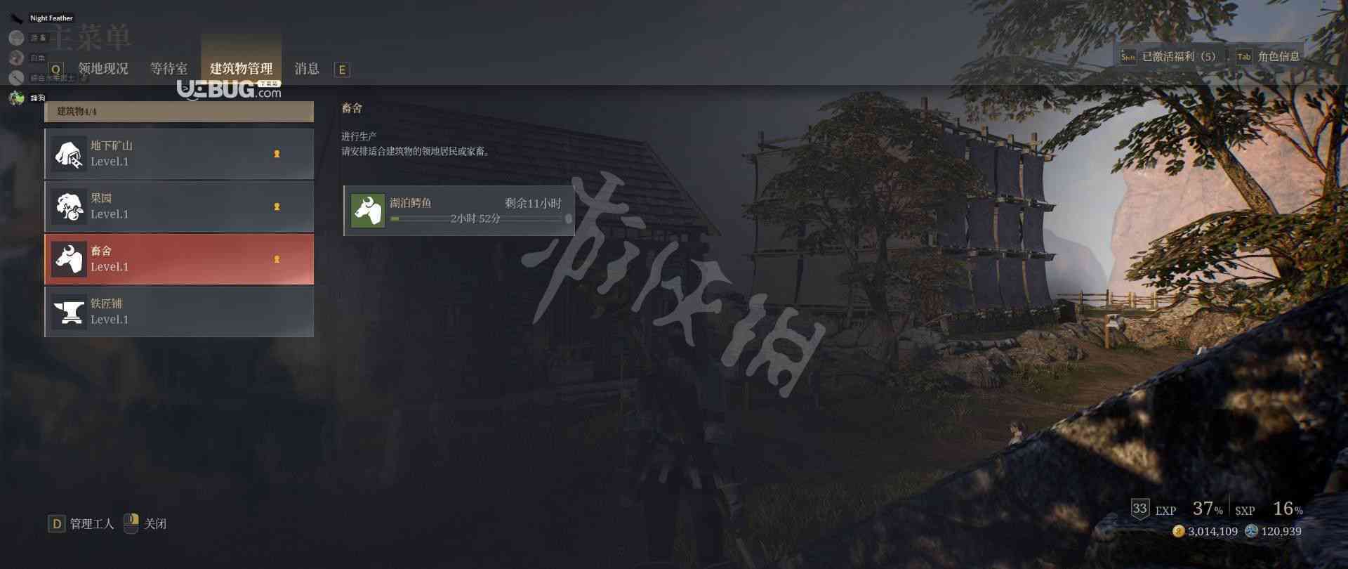 心灵羁绊：驯服后的内心独白