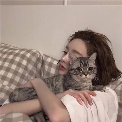 猫咪AI：智能写作助手助力论文创作