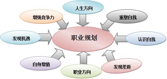 个人职业发展规划报告：未来生涯规划与目标实现路径