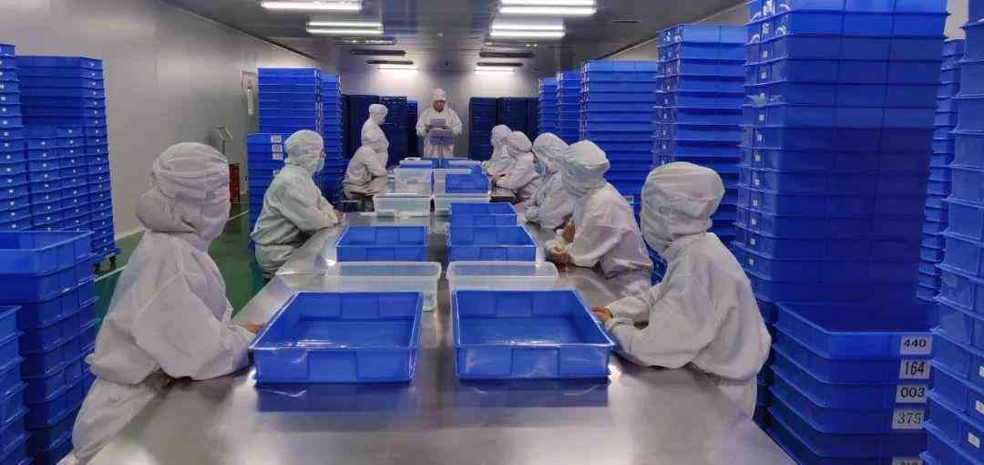 全面探讨现代制药技术及其在研发、生产与质量控制中的应用研究 全面探讨现代制药技术及其在研发、生产与质量控制中的应用研究