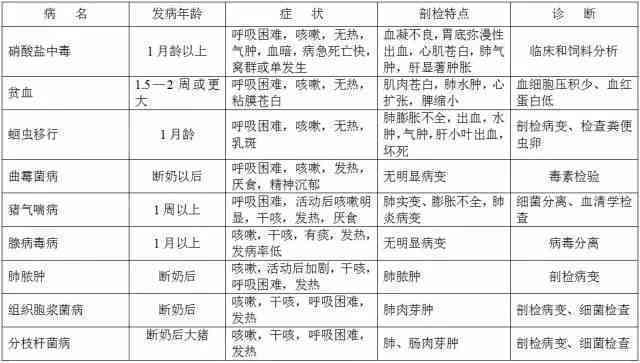 手部烫伤工伤等级评定标准及赔偿指南：全面解析工伤鉴定流程与赔偿细节