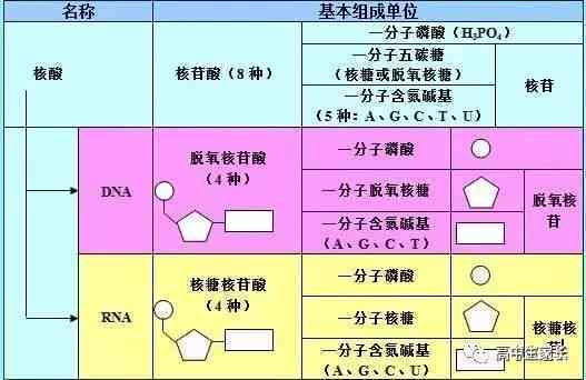 手部烫伤工伤等级评定标准及赔偿指南：全面解析工伤鉴定流程与赔偿细节