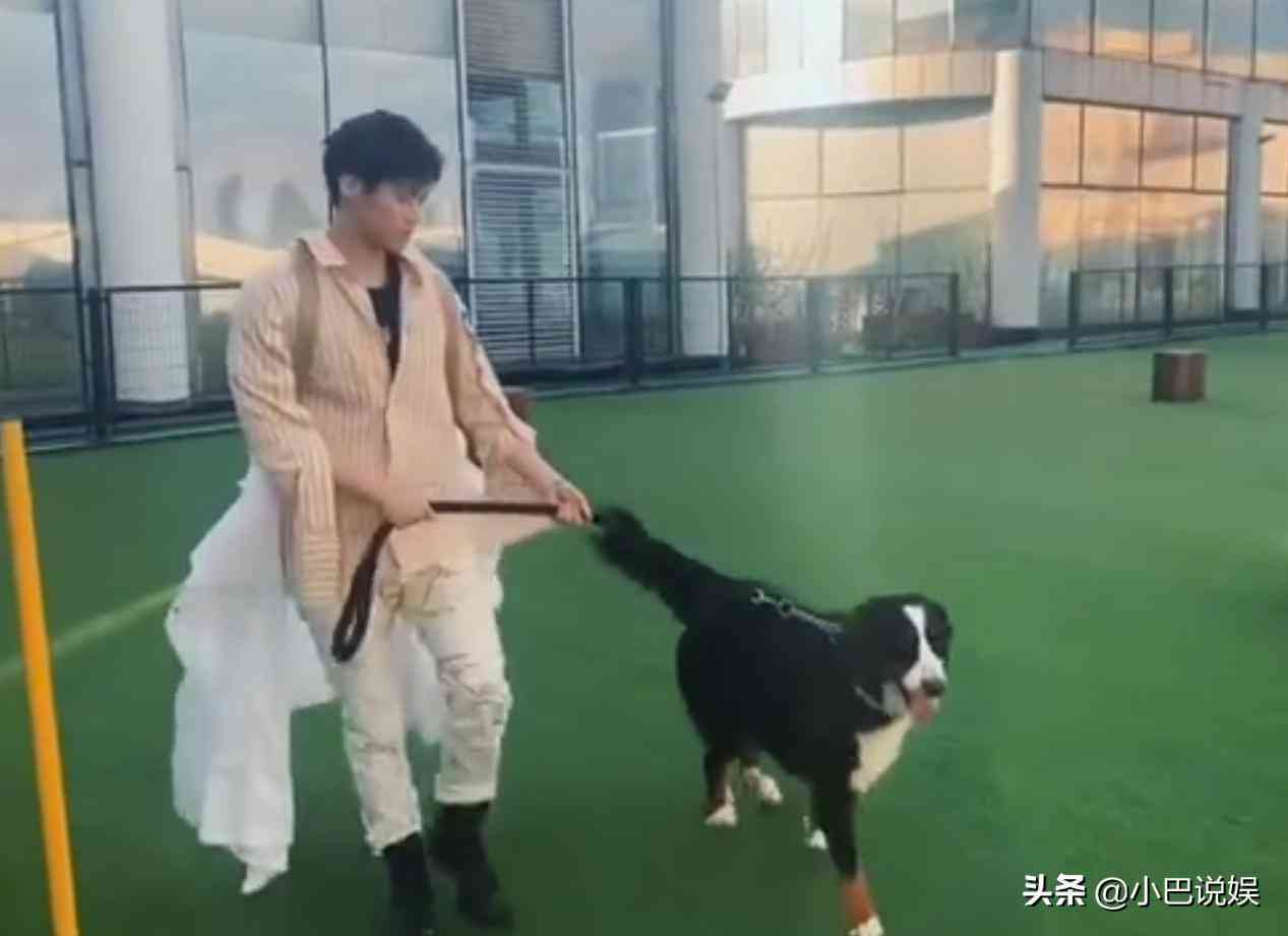 运用AI技术打造创意动物变身文案撰写攻略