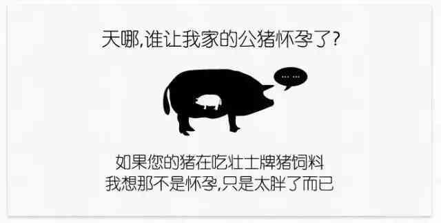 ai动物变身文案怎么写 ai动物变身文案怎么写