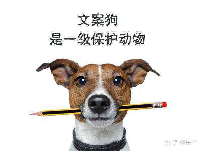 变身小动物文案：短句、美篇、歌词汇编