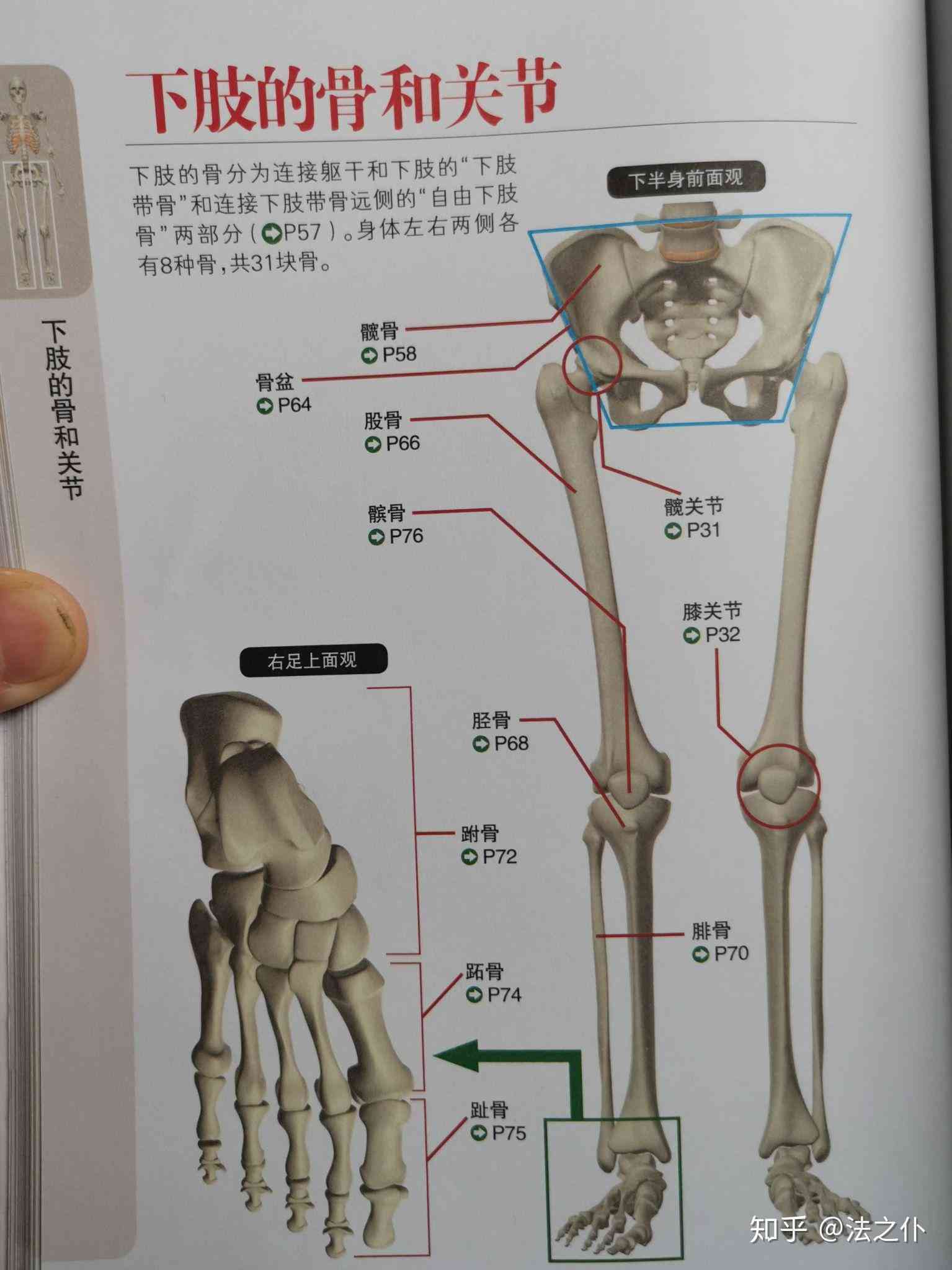 手背肌腱断裂工伤伤残鉴定及认定标准探讨