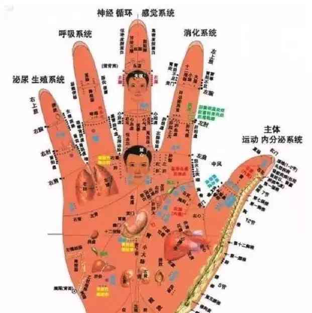 手背肌腱断裂后手指活动能力及复情况详解