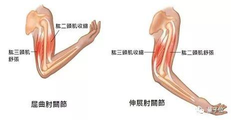 手臂关节错位：探讨手术必要性及治疗选择