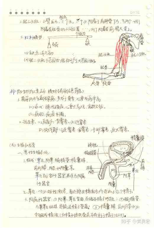 职业性腱鞘炎：能否合工伤认定标准》