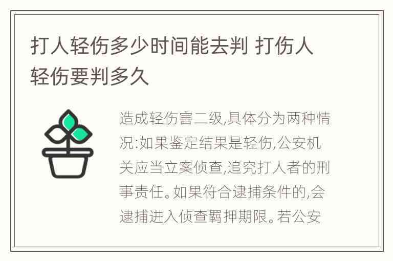 打人造成轻伤的界定标准及具体程度详解