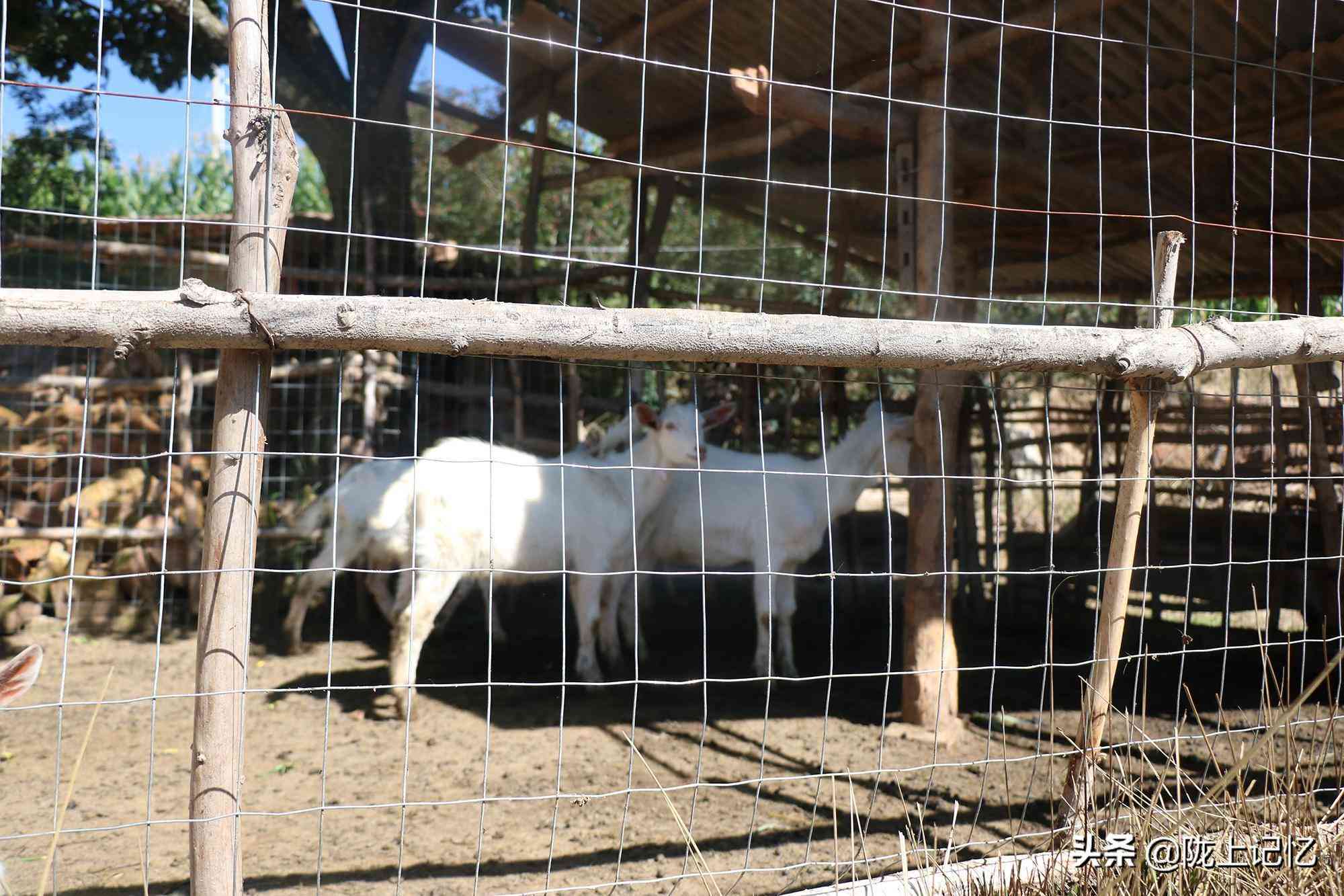 '工伤赔偿与责任划分详解：打工受伤如何界定双方责任'