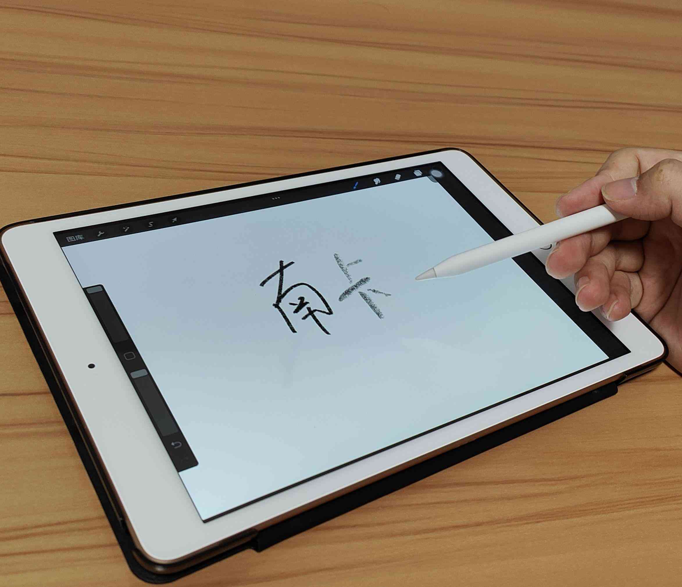 高效创作伴侣：纯纯写作专用iPad版