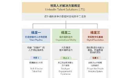 全面解析：人才领英计划实方案与高效人才引进策略