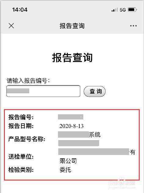 ai形象检测报告在哪里看