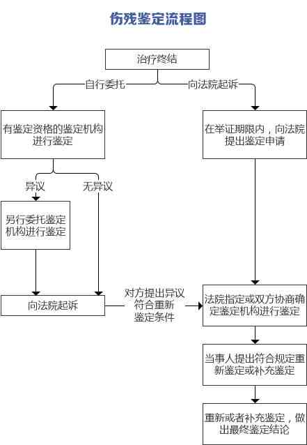 双方冲突未进行伤残鉴定：法律途径、纠纷解决及后续处理指南