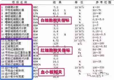 全面解读血常规报告单：AI助您深入了解白细胞、红细胞、血小板指标异常