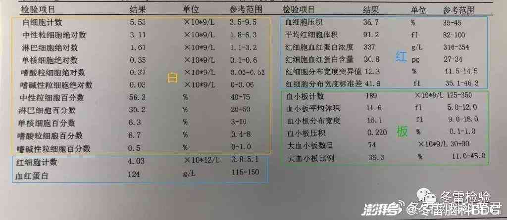 全面解读血常规报告单：AI助您深入了解白细胞、红细胞、血小板指标异常