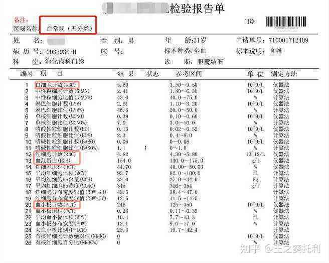ai看血常规报告