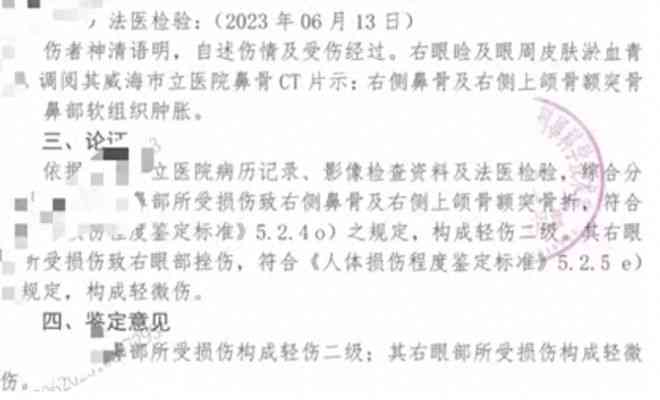 打架致轻伤如何进行工伤认定及等级评定详解与指南