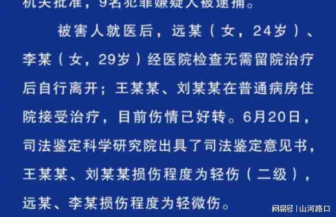 '打架轻伤损伤程度：如何选择专业鉴定机构进行司法鉴定'