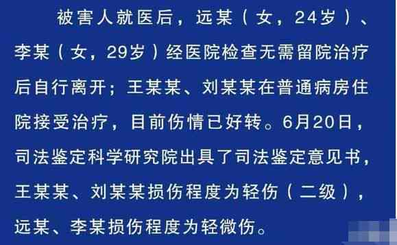 打架致轻伤：伤情鉴定流程、机构选择及法律责任解析