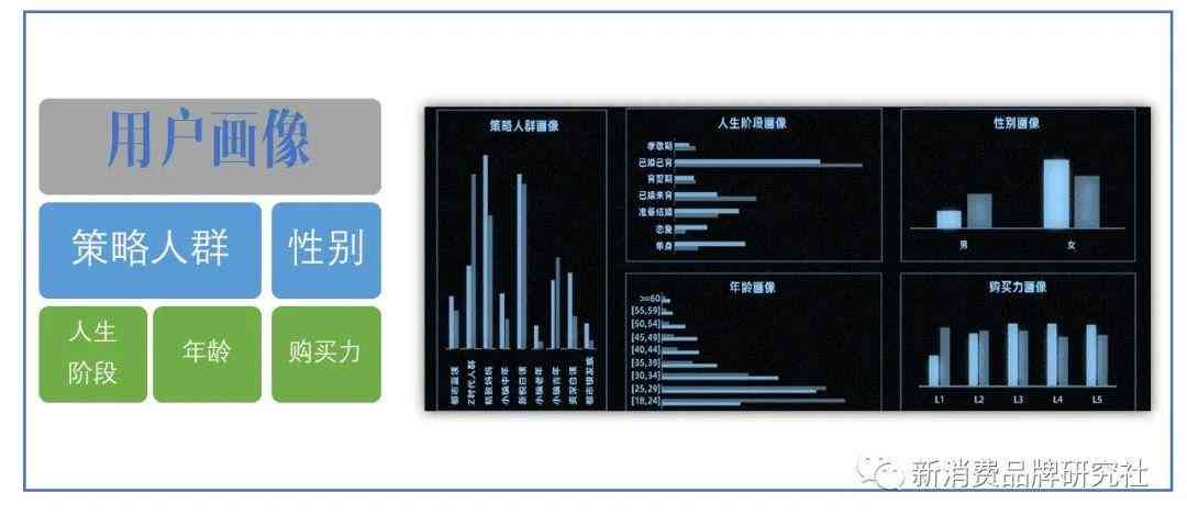 全面解析AI领域消费人群：多维洞察与市场趋势研究报告
