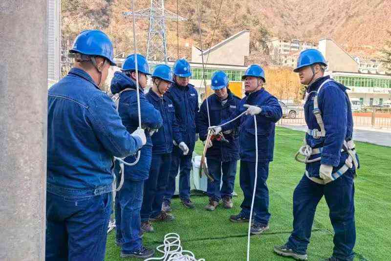 综合电网技能实训报告：涵理论与实践、操作技巧与案例分析