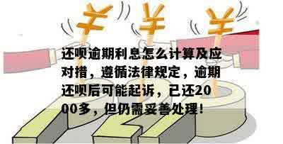 打球受伤索赔指南：权益保护与法律途径全解析