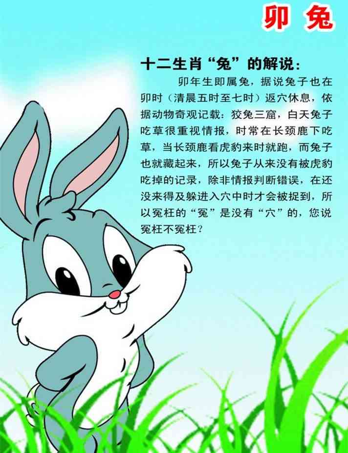 探索兔子的秘密：精选关于兔子性、趣事的创意文案句子集锦