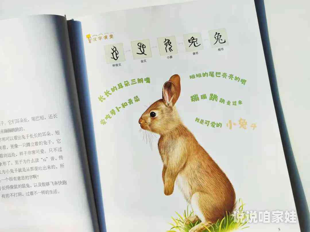 探索兔子的秘密：精选关于兔子性、趣事的创意文案句子集锦