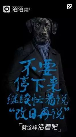 抖音拍AI变脸文案：创意撰写与特效说说素材整理