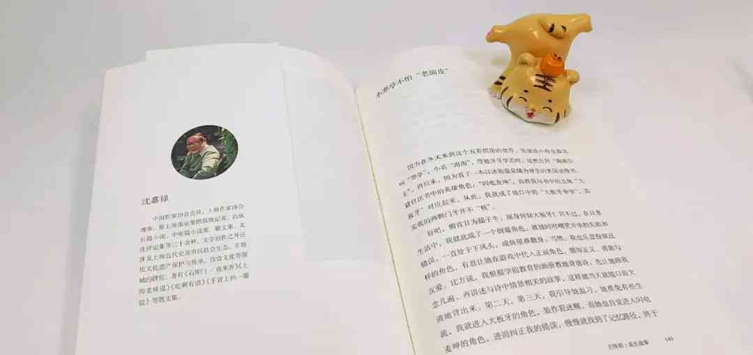 小全新力作：深度解读与全面评述《小的新书》