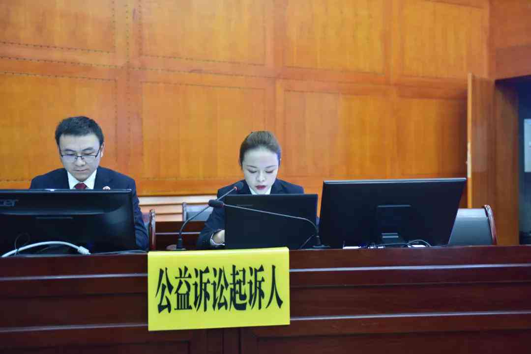 执行公务受伤可以提起民事赔偿吗：法律规定、责任归属及当事人赔偿问题