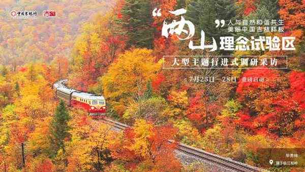 小vlog：全方位生活记录与实用技巧分享，探索更多精彩瞬间