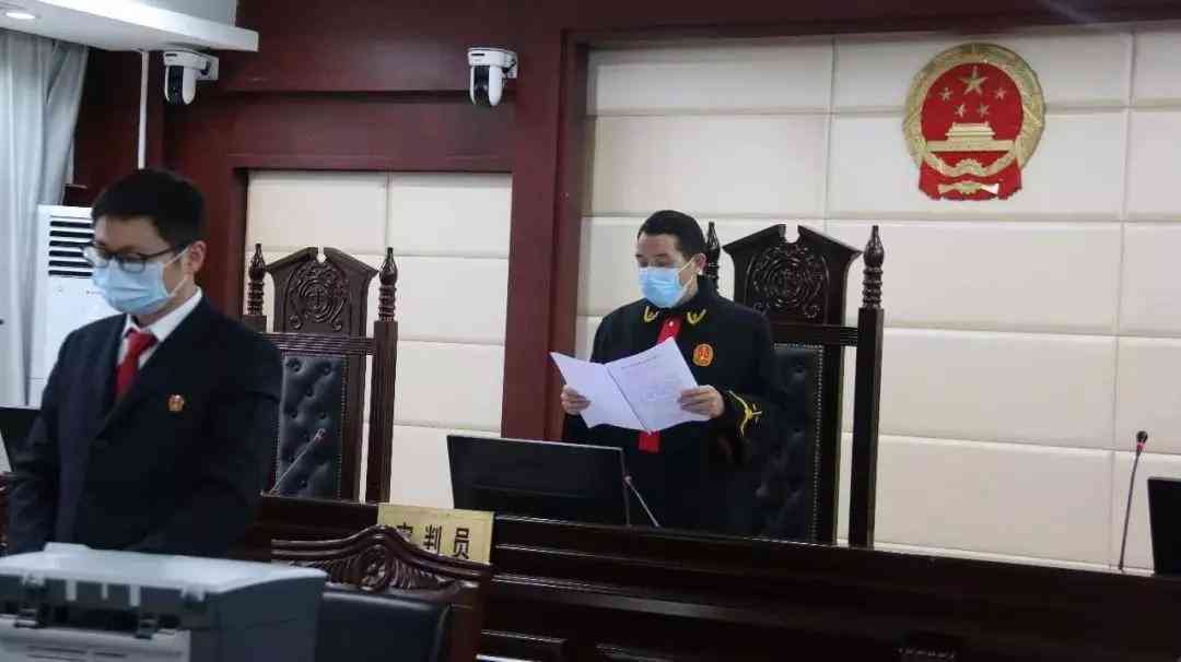公务执行中不致人轻伤：事故原因、法律责任及处理措解析