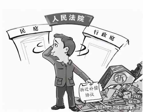 执行公务过程中造成他人重伤：赔偿与处理办法及轻伤情形解析