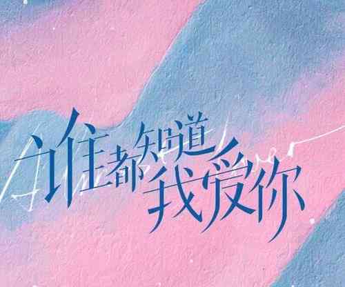 光影映情：照片里的浪漫爱情文字细语