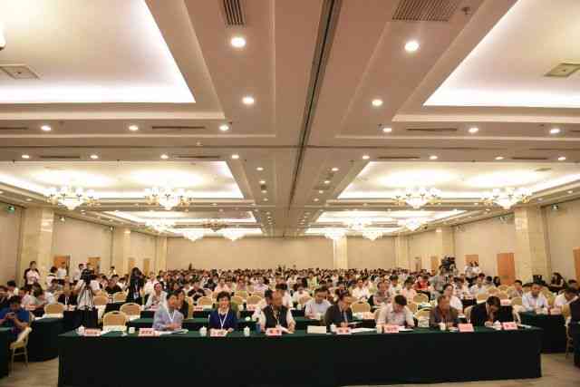 荣获信息化建设领域越成就奖：全面剖析一等奖案例精华及其实践应用