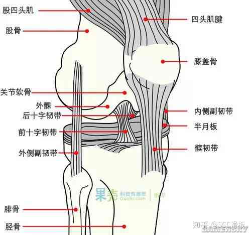 '扭伤复缓慢：探究为何关节扭伤难以痊愈的奥秘'