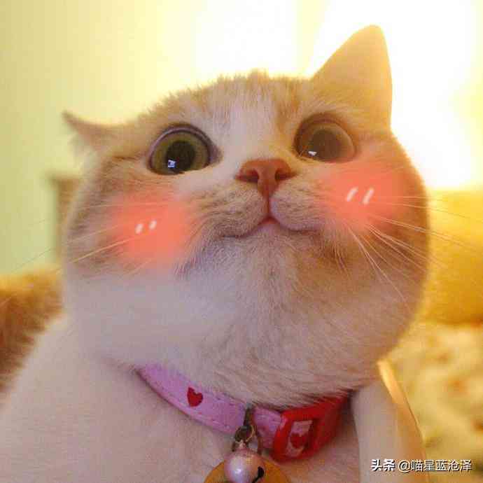猫咪灵感驱动：喵元素融入AI智能写作助手