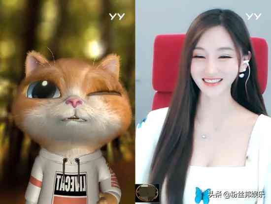 喵字命名大全：创意猫咪名字精选与命名技巧指南